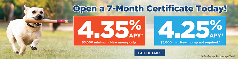 Open a 7-Month certificate today!